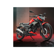 TVS RAİDER 125