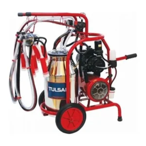 TULSAN Kuru Tip Çift Inek Sağma Makinası