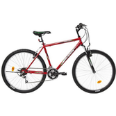 Bisan MTS 4200 V 21 Vites 26 Jant Erkek Dağ Bisikleti